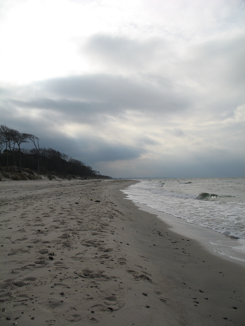 Ostsee 2009