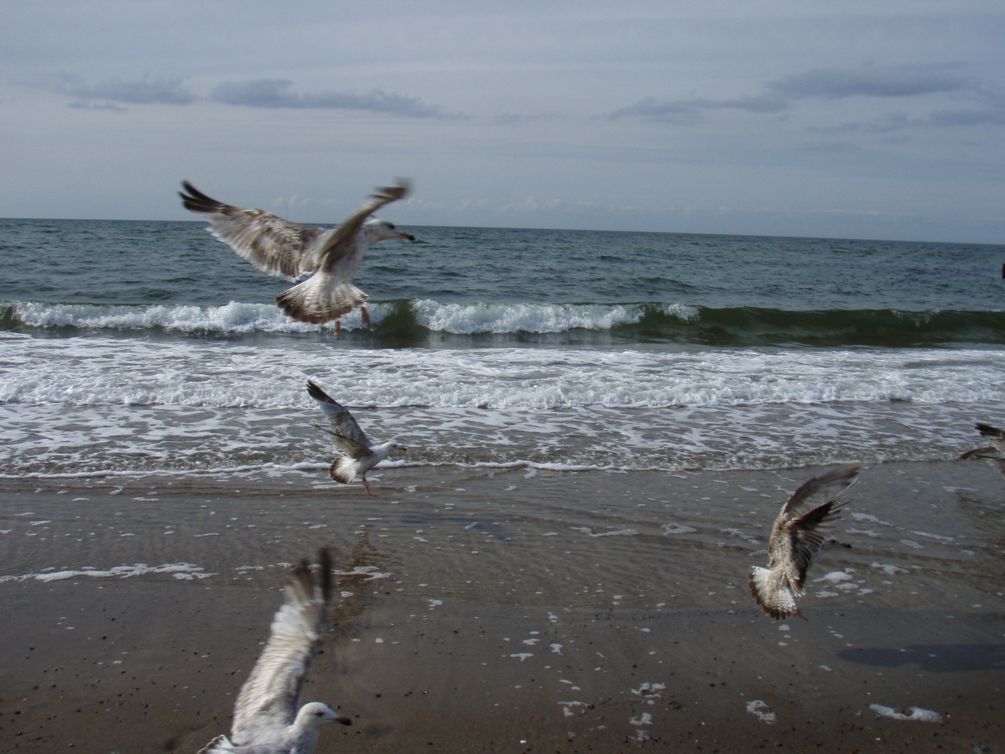 Ostsee 2009 Juni