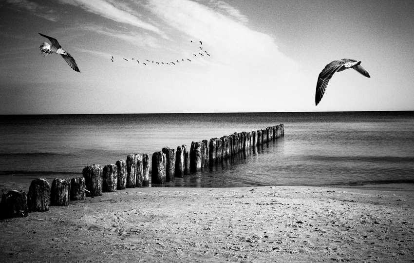 OSTSEE 2010 "USTKA"