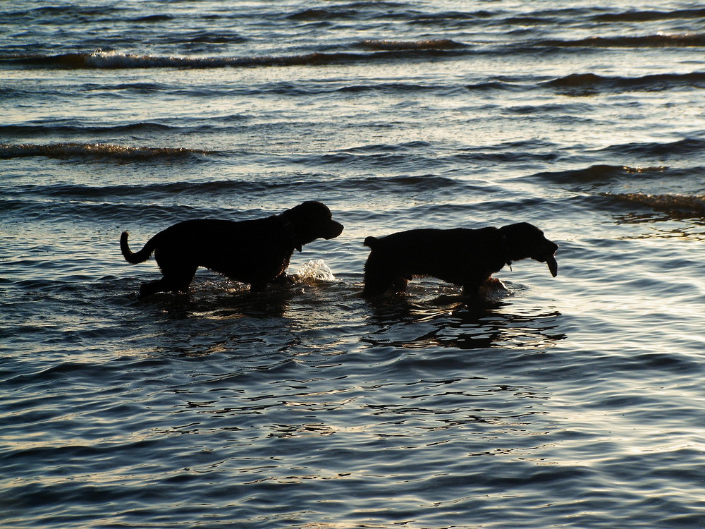 Ostsee