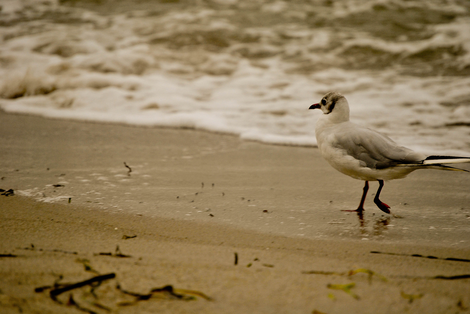 Ostsee