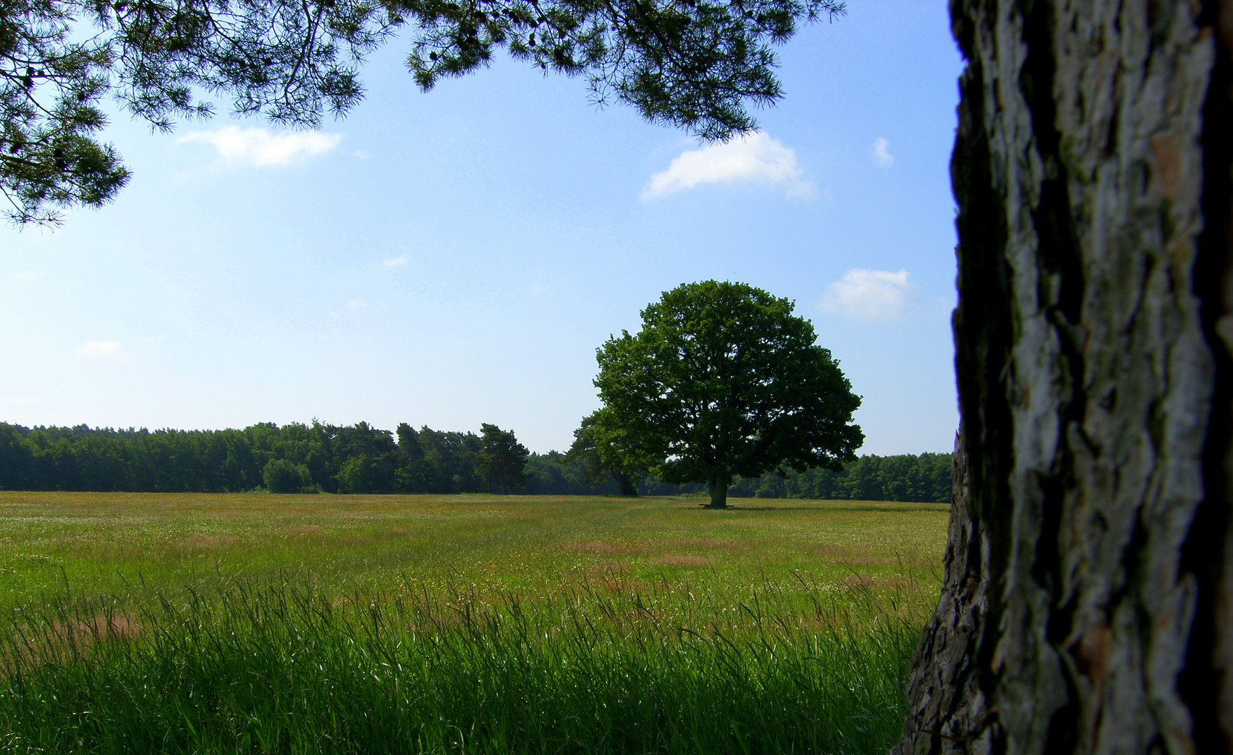 Ostsee