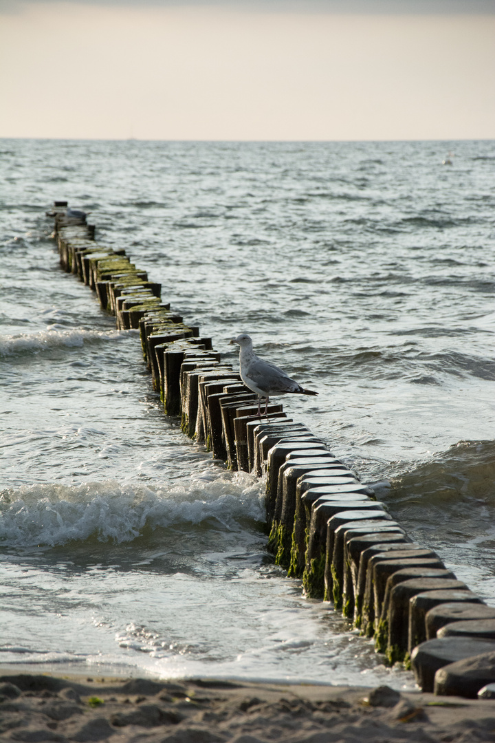 Ostsee