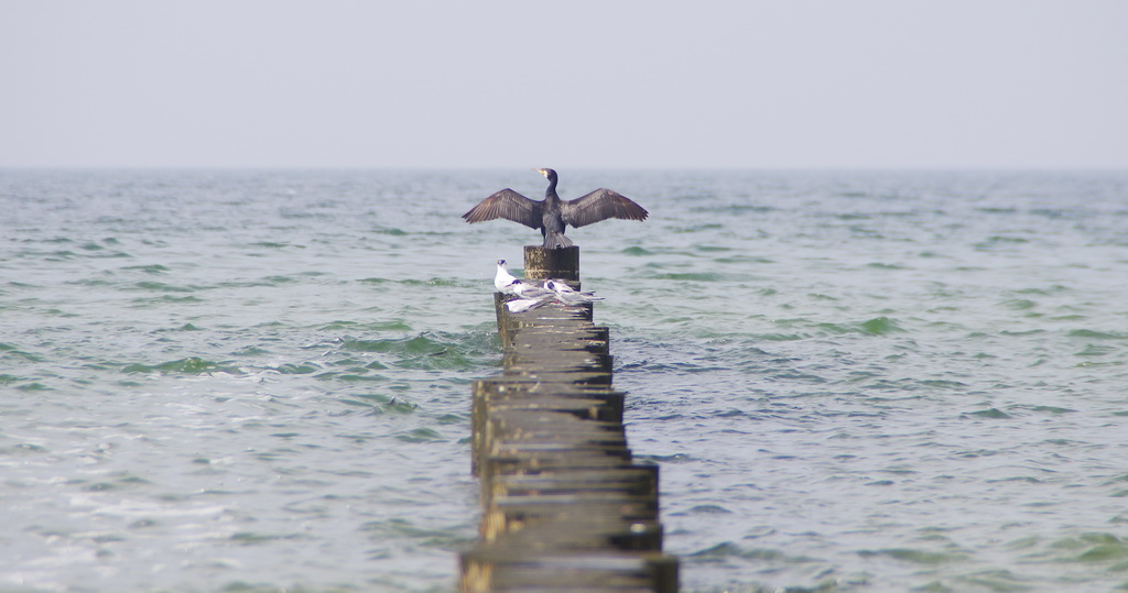 Ostsee