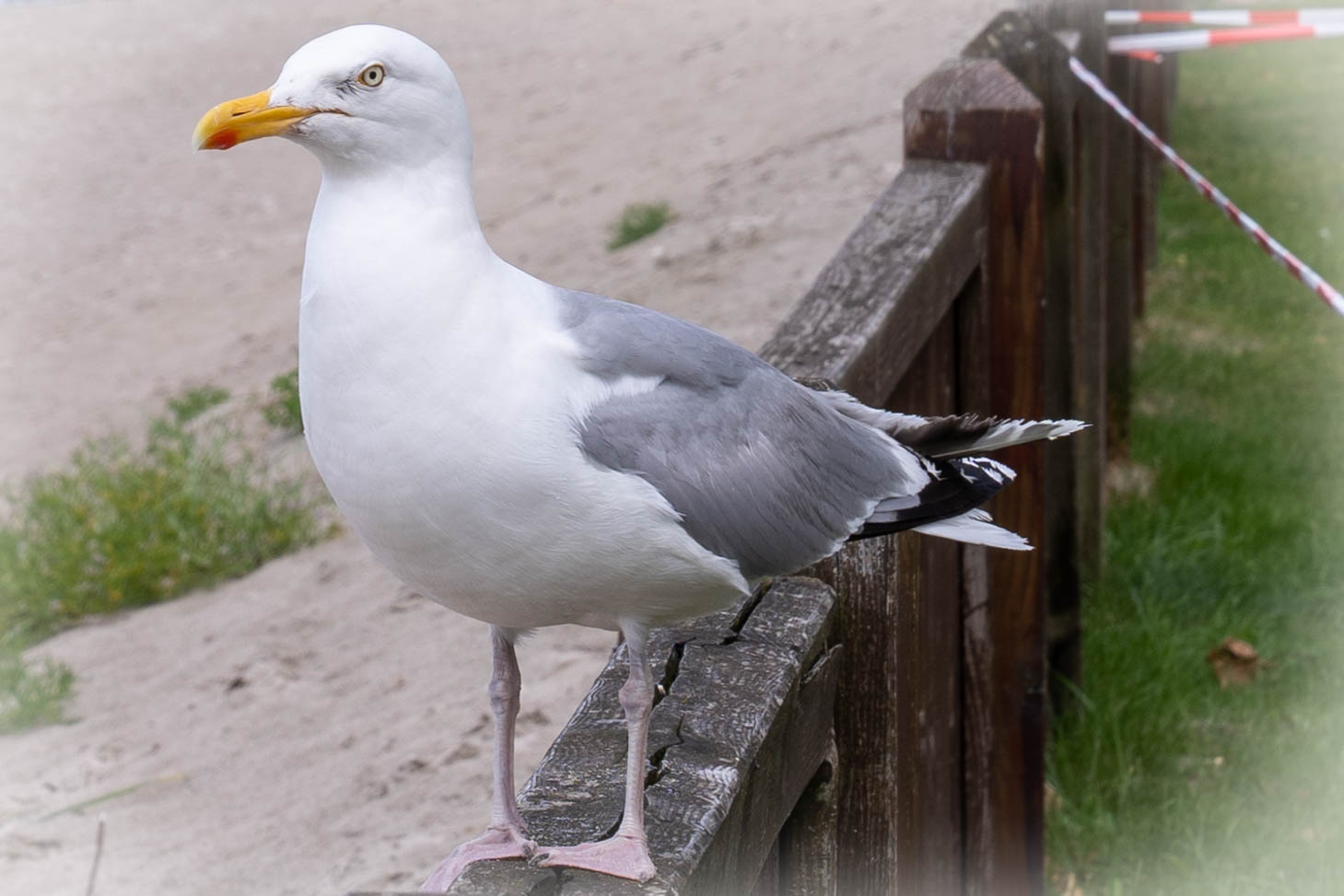 Ostsee 