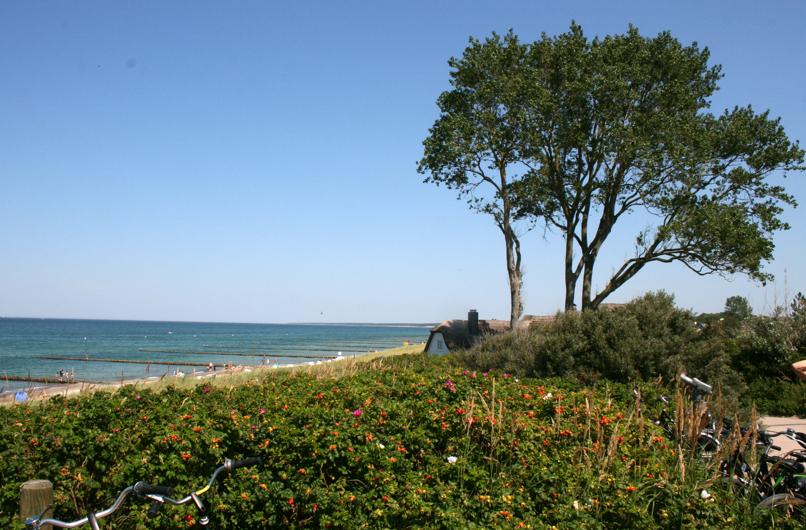 Ostsee Ahrenshoop