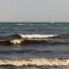 Ostsee als Öl-Gemälde