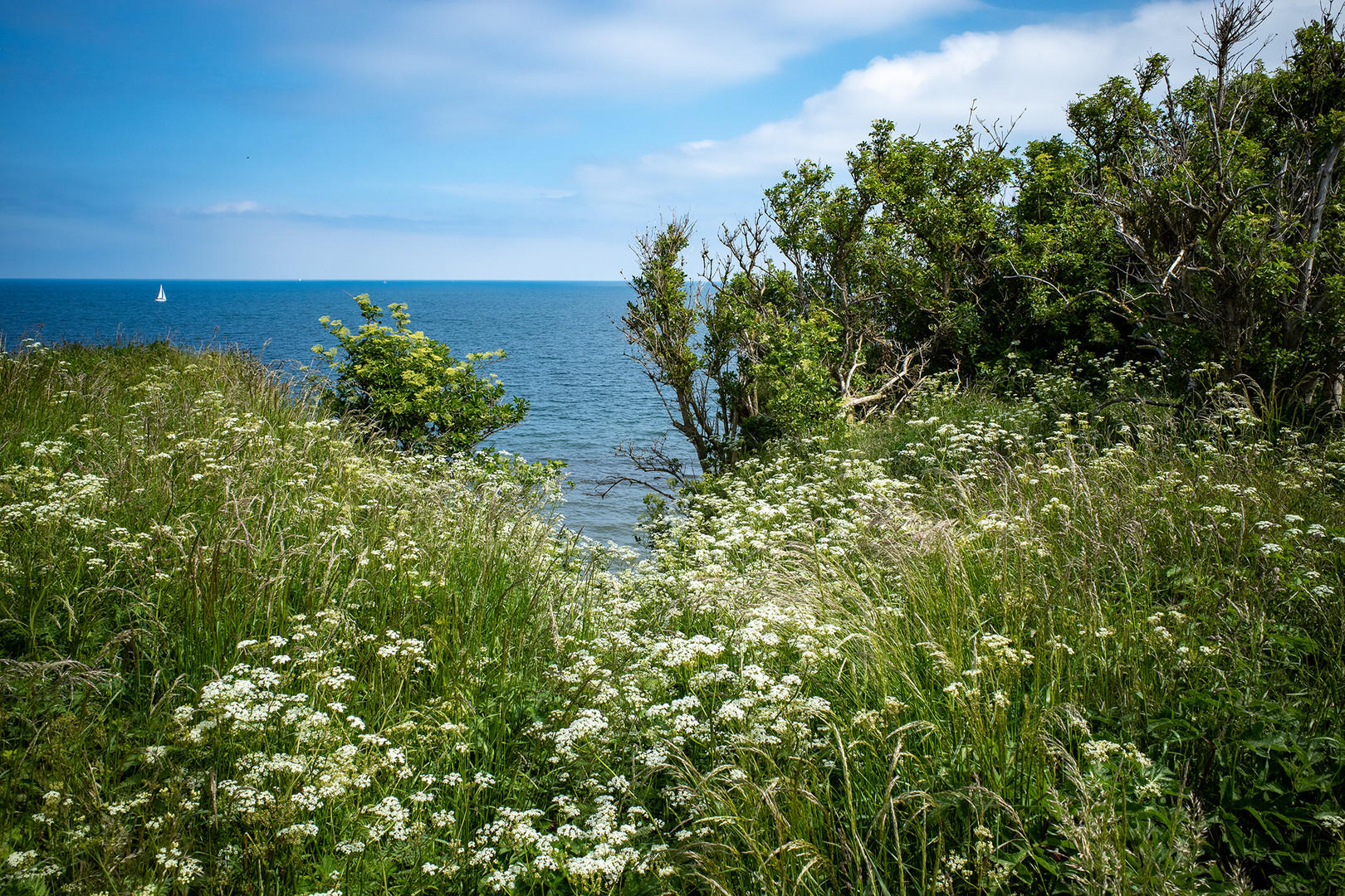 Ostsee bei Boltenhagen I