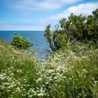 Ostsee bei Boltenhagen I