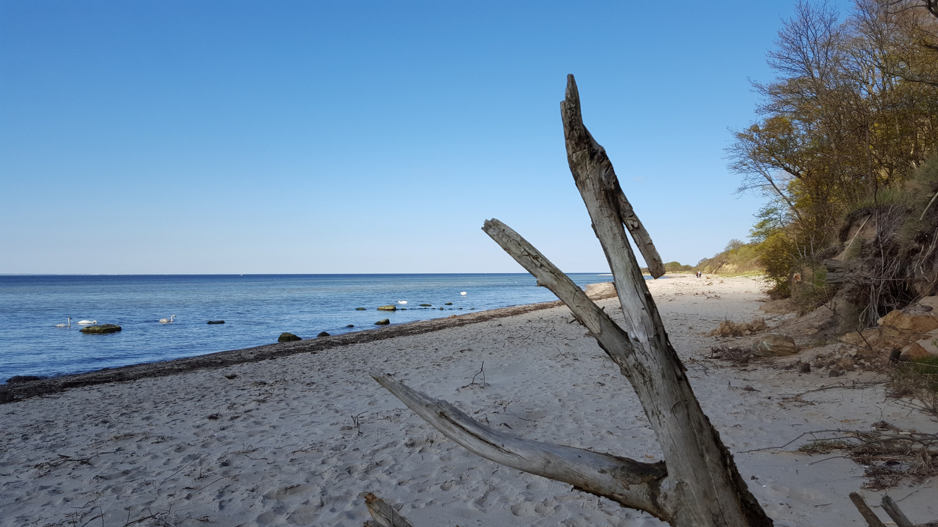 Ostsee bei Dassow