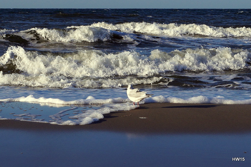 Ostsee bei Graal-Müritz