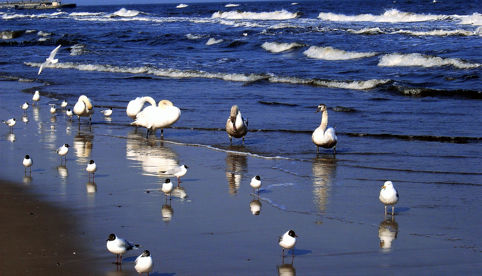 Ostsee bei Kolberg