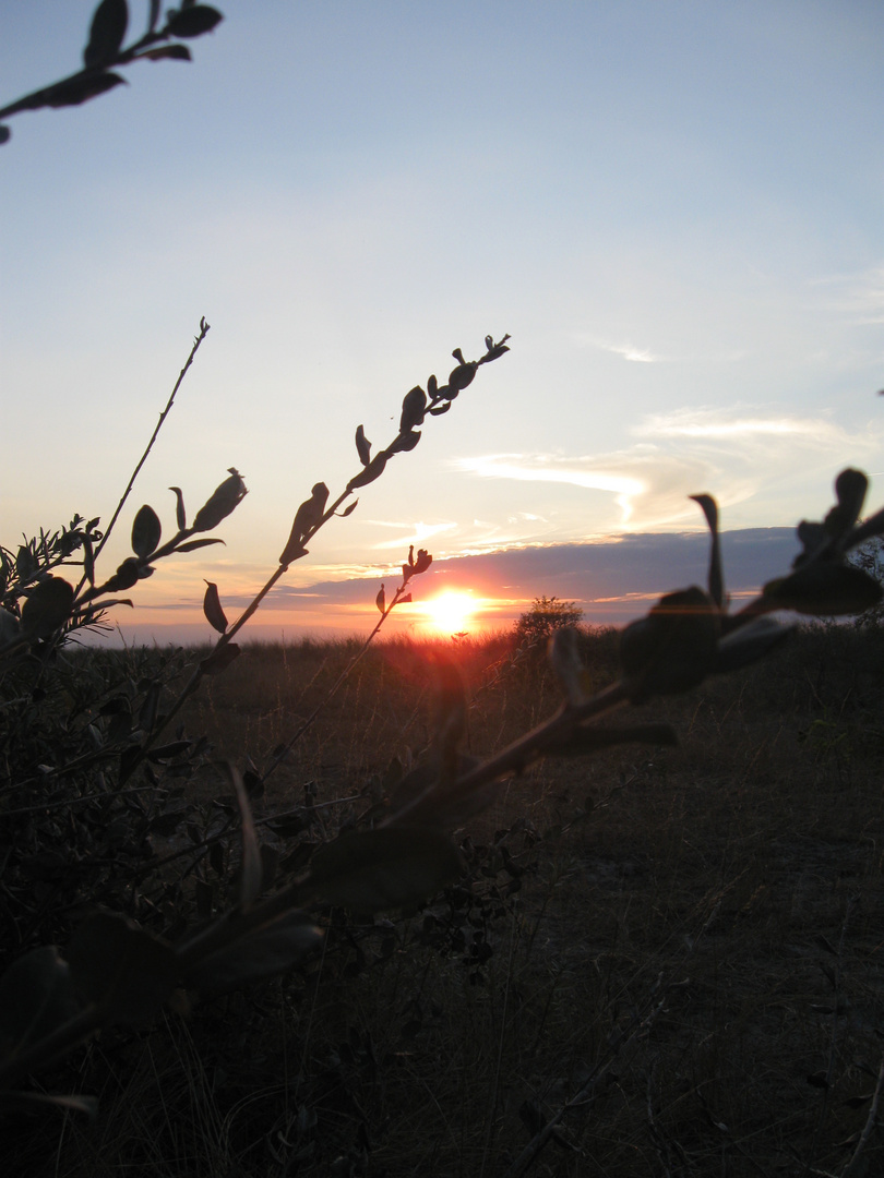 Ostsee bei Sonnenuntergang