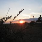 Ostsee bei Sonnenuntergang