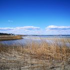 Ostsee bei Stein 