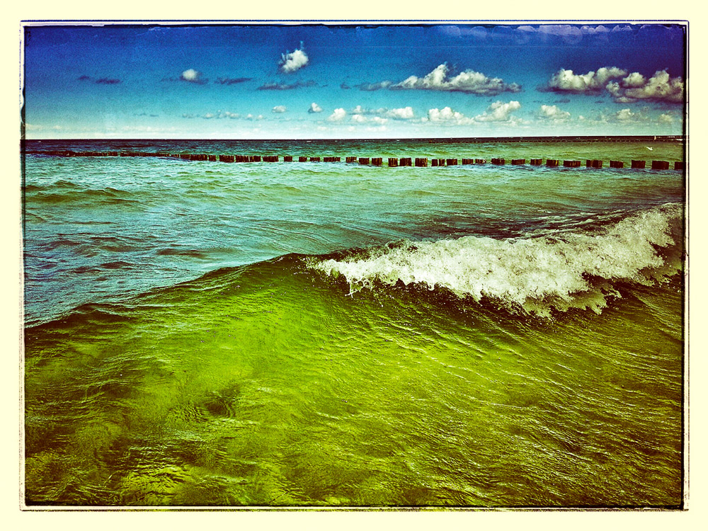 Ostsee bei Zingst /3.