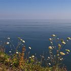 Ostsee - Blau mit Tupfern - Zugabe ein Sensorfleck