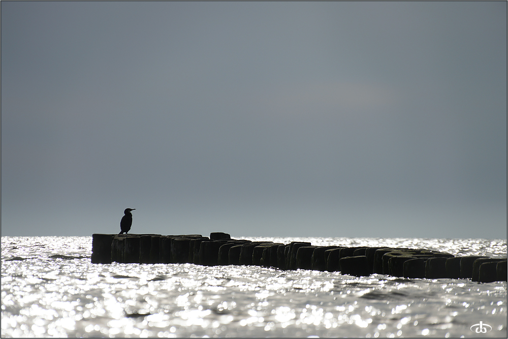 ostsee-buhnen-idylle