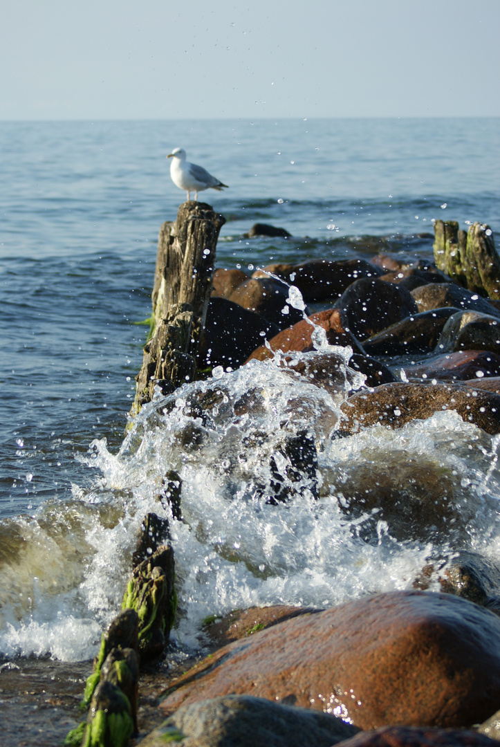 Ostsee