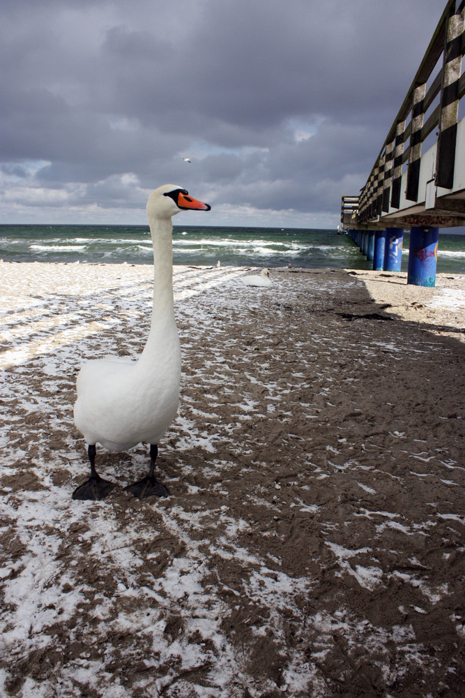 Ostsee