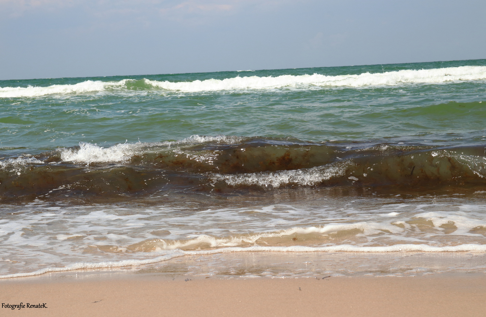 Ostsee - der Weststrand von Prerow