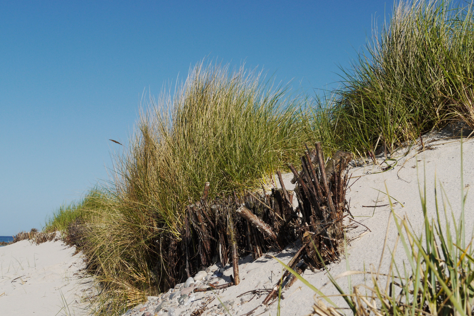 Ostsee-Düne