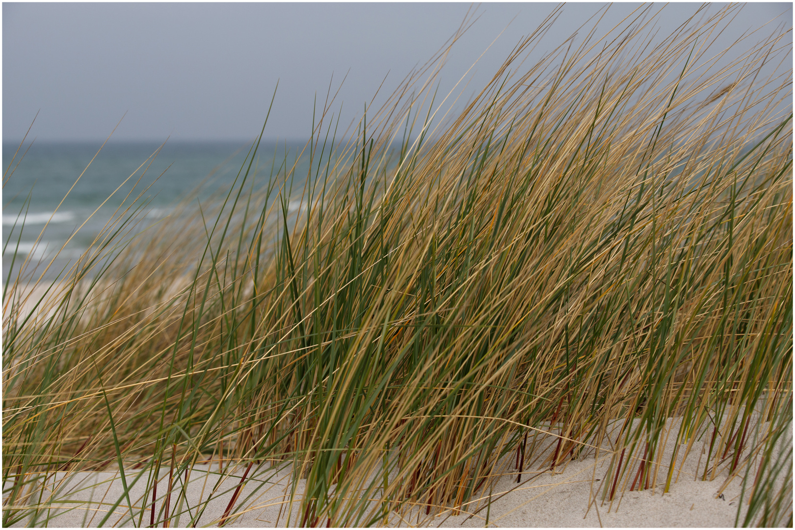 Ostsee Dünen