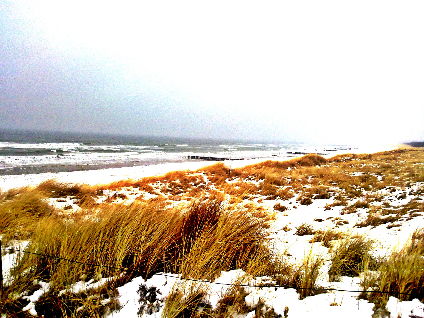 Ostsee Dünen winter