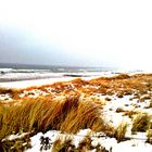 Ostsee Dünen winter