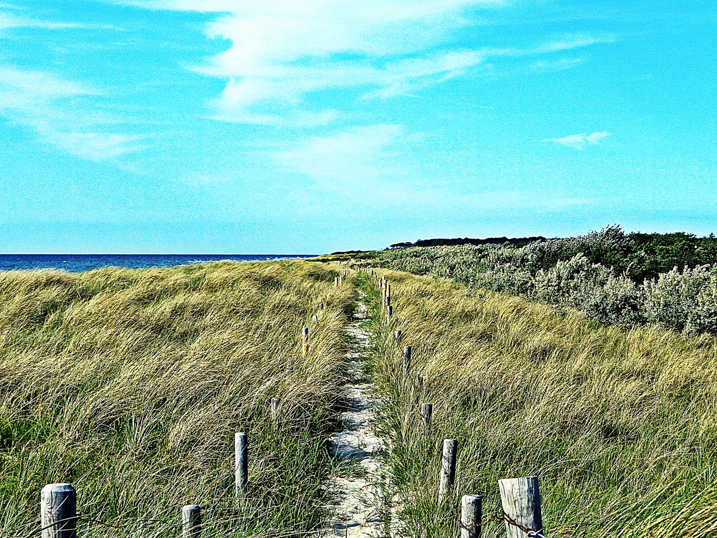 Ostsee - Dünenwanderweg