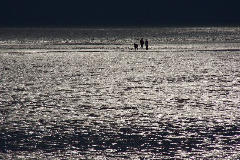 Ostsee - Ebbe