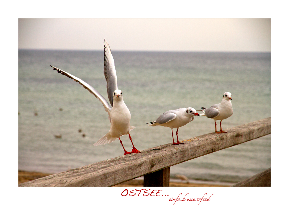 Ostsee - einfach umwerfend