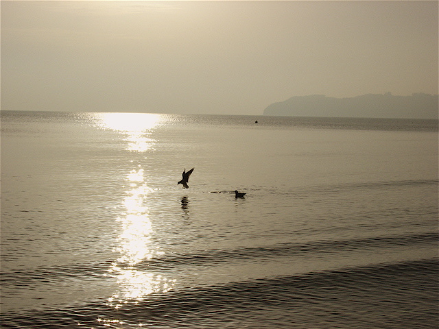 Ostsee