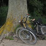 Ostsee: Fahrradzuneigung am Strand