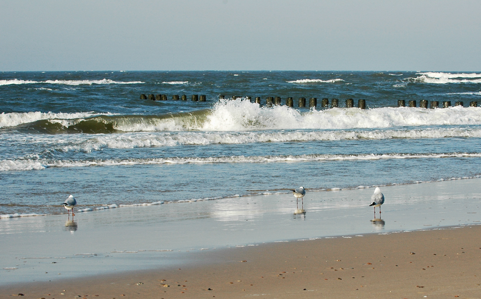 ... ostsee - feeling ...