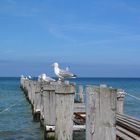 Ostsee, Fischland Darß