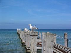 Ostsee, Fischland Darß