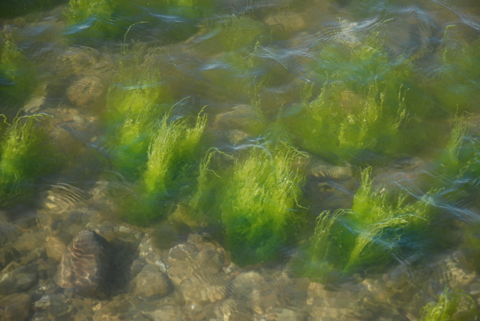 Ostsee, Flensburger Förde, Schleswig-Holstein 