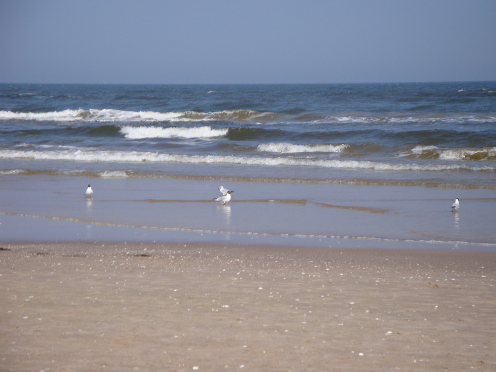 Ostsee für Zwei Teil 2