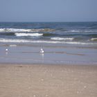 Ostsee für Zwei Teil 2