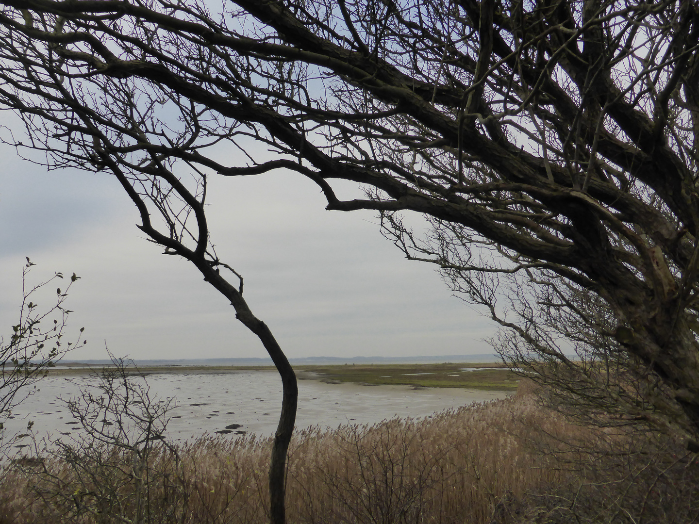 Ostsee - Geltinger Birk