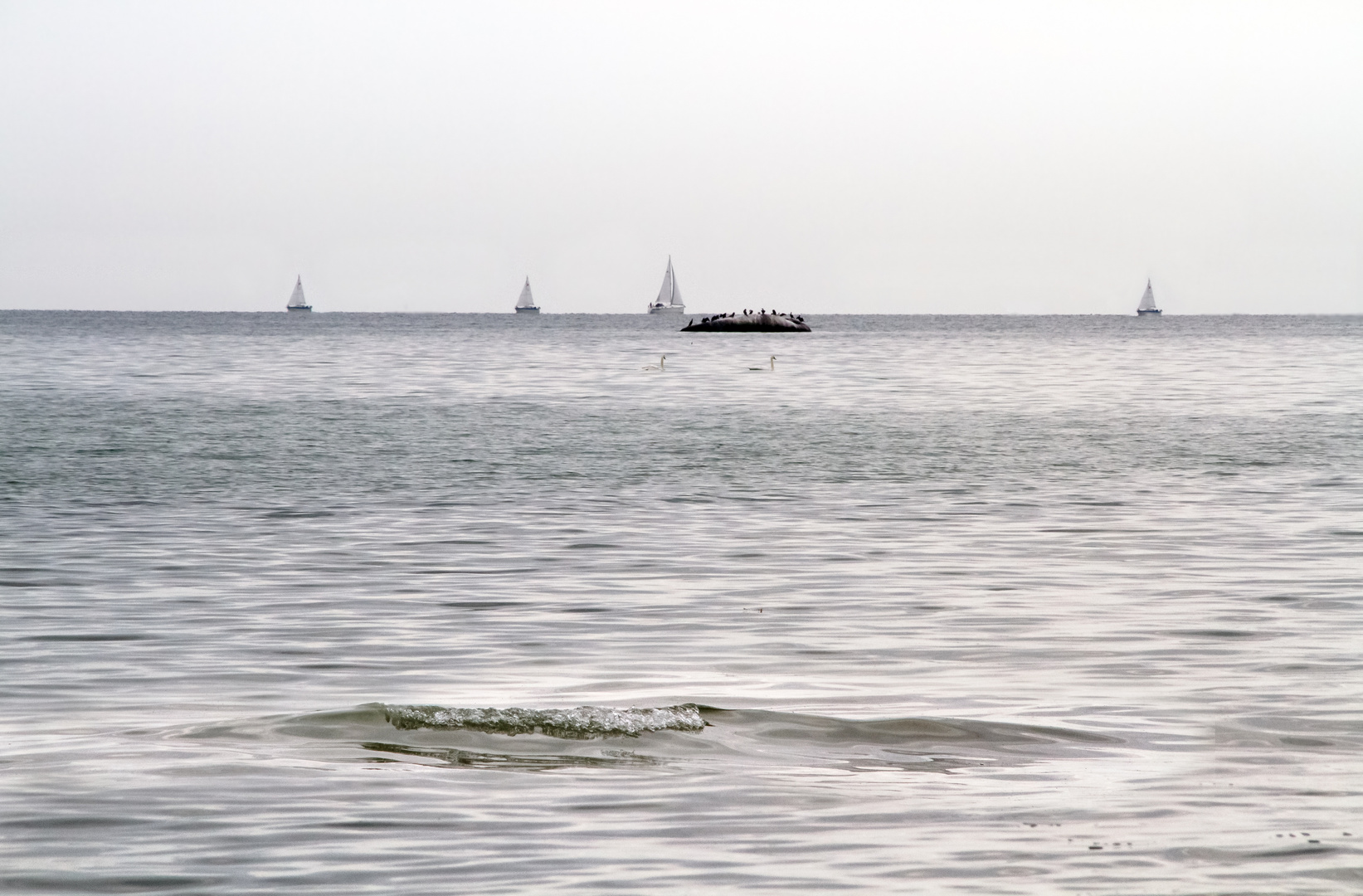 ostsee (göhren / rügen)