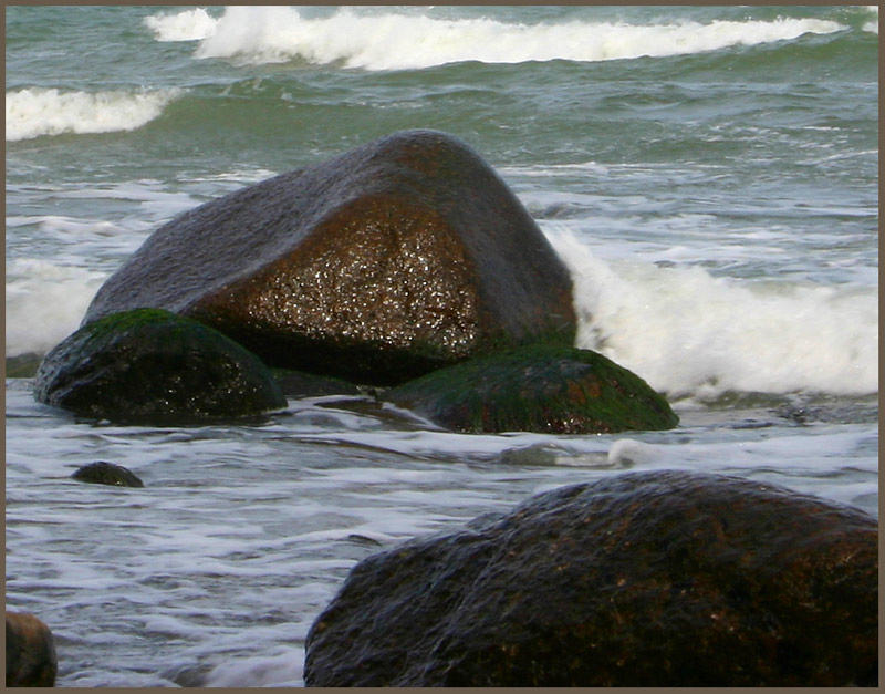 Ostsee-Gold