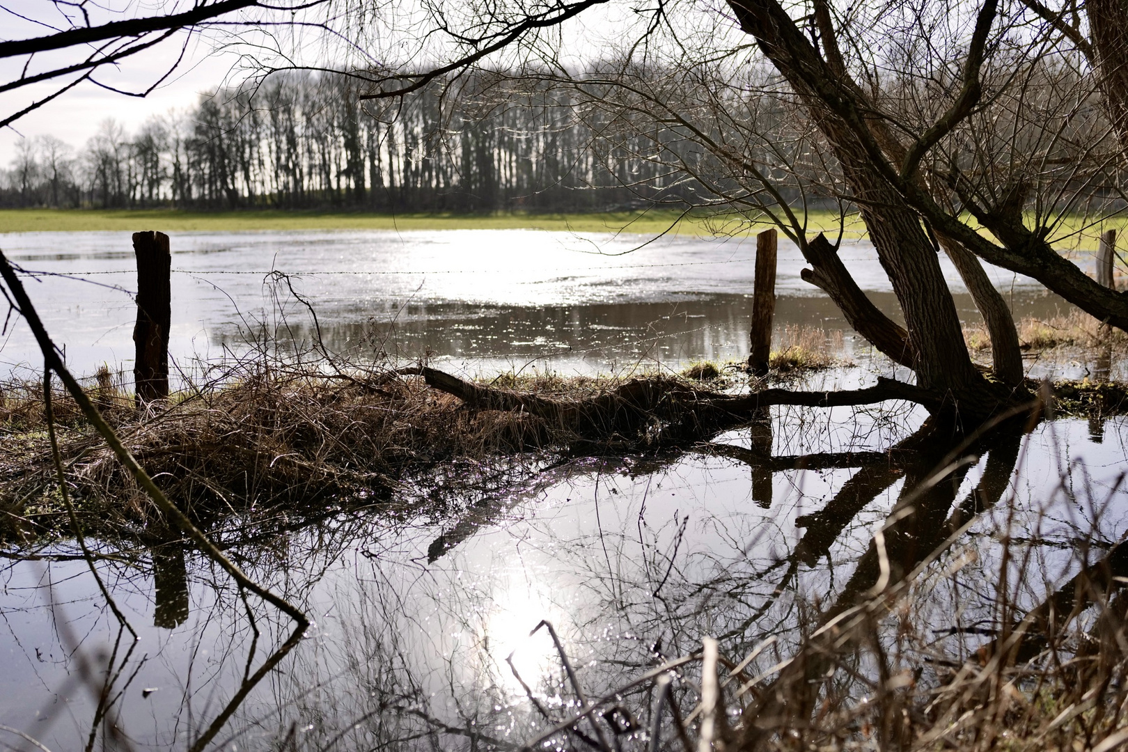 Ostsee - Große Schwansee