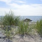 Ostsee-Heimat