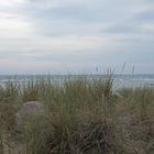 Ostsee Herbst 2013 (2)