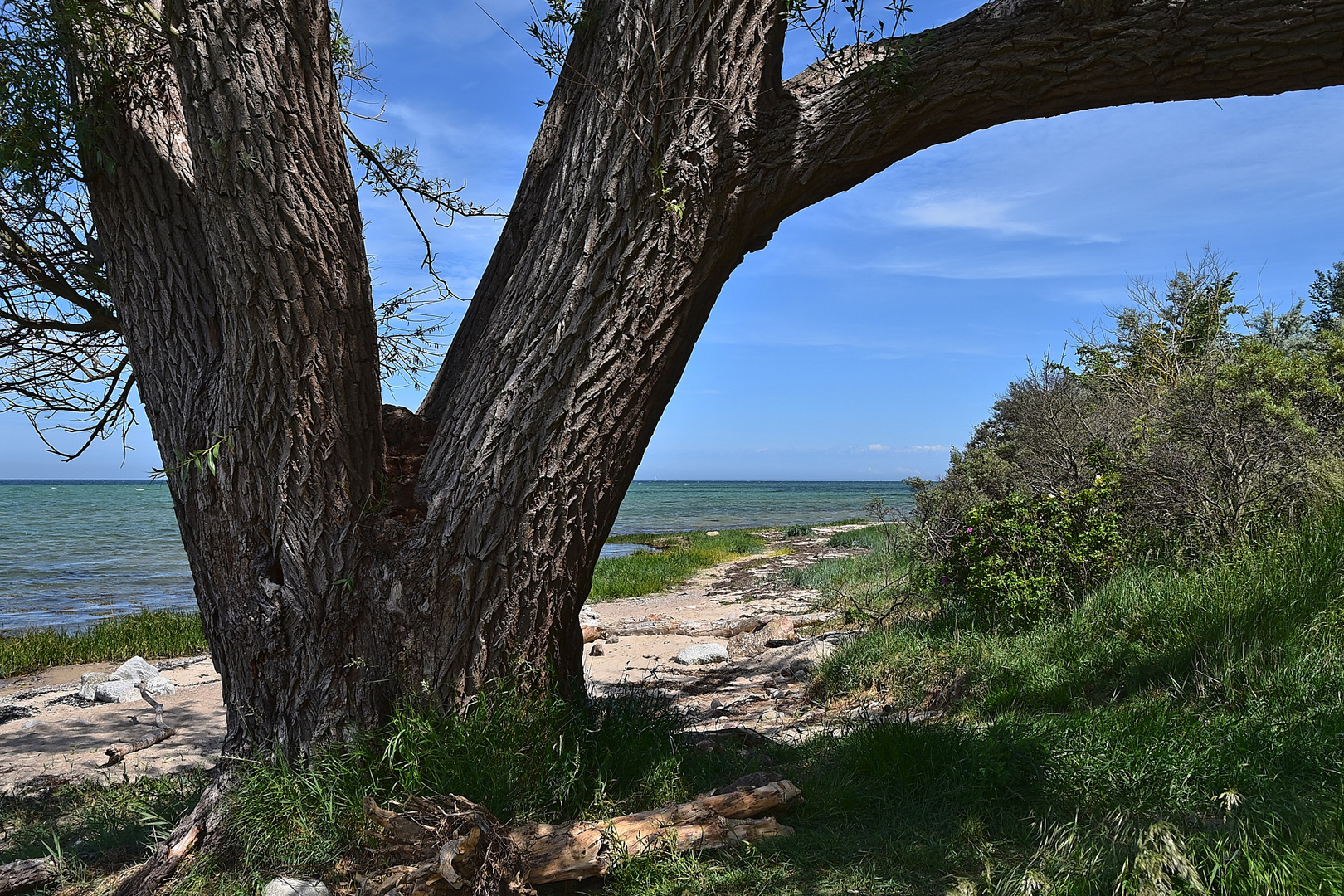 Ostsee / Hohen Wieschendorf