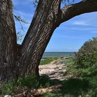 Ostsee / Hohen Wieschendorf