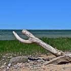 Ostsee / Hohen Wieschendorf