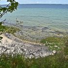 Ostsee / Hohen Wieschendorf